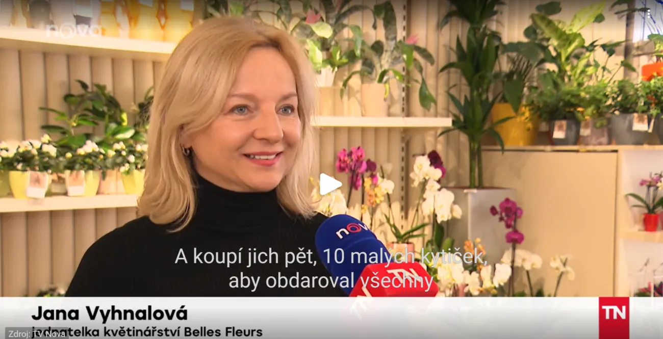 BellesFleurs v mediich.png